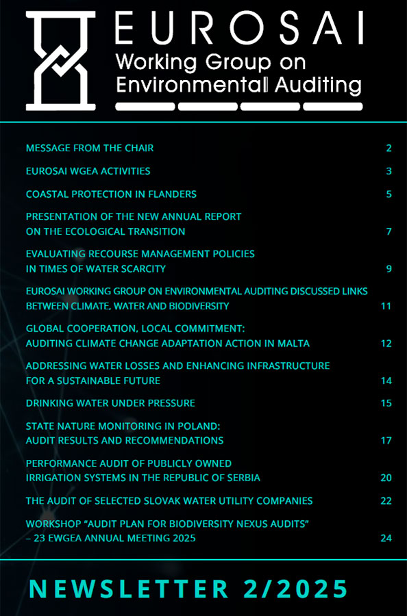 EUROSAI WGEA newsletter 2/2025