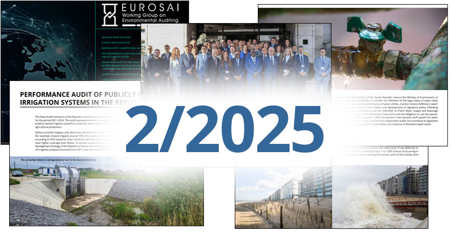 EWGEA Newsletter issue released (2/2025)