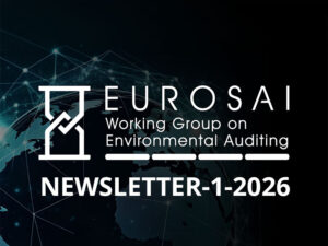 EUROSAI WGEA newsletter 1/2026